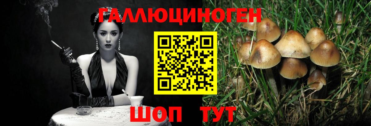 Троицк  Галлюциногенные грибы мицелий  купить наркоту  Вход с VPN  Галлюциногенные грибы прущие грибы 